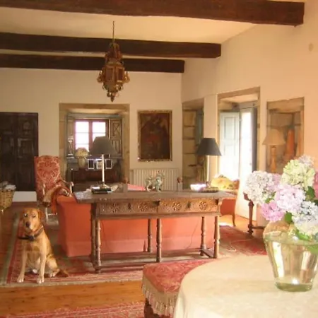Villa Palacio De Hualle *