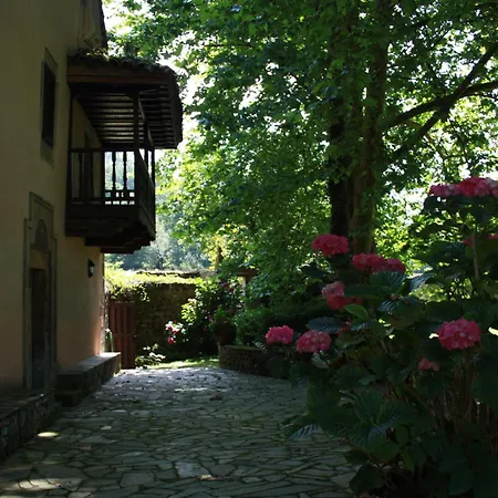 Palacio De Hualle Вилла *