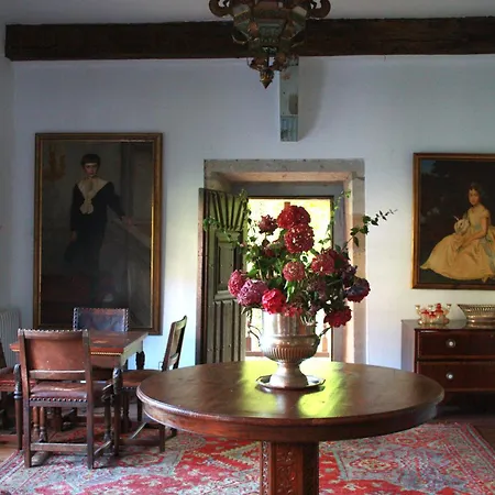Palacio De Hualle Villa