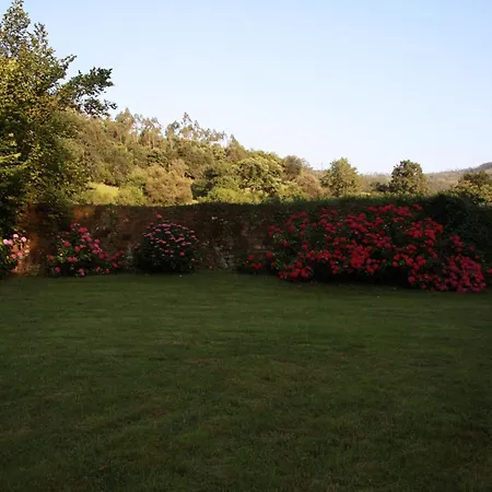 Palacio De Hualle Вилла Тресеньо